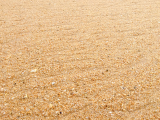 Abstract natural sandy beach closeup, seacoast background. Space surface for text
