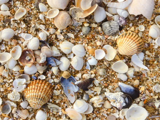 Abstract natural sandy beach closeup, seacoast background. Space surface for text