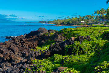 Maui Coastline