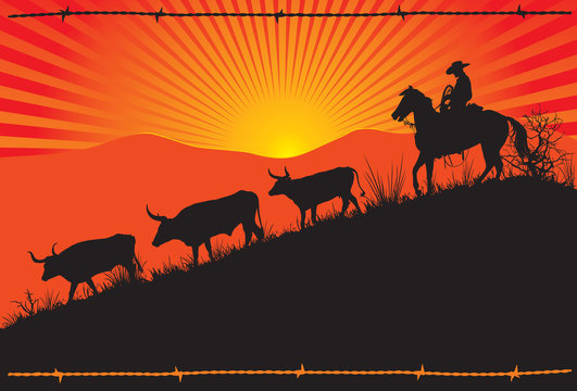 American Western Cowboy