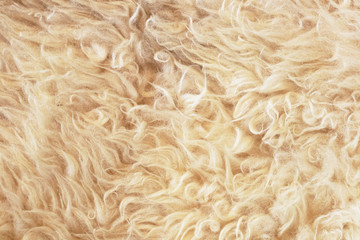 fleece background