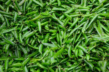 Empty pea pods after processing