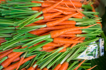 Fresh Baby carrots background nature