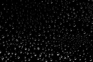 Water droplets on a black background