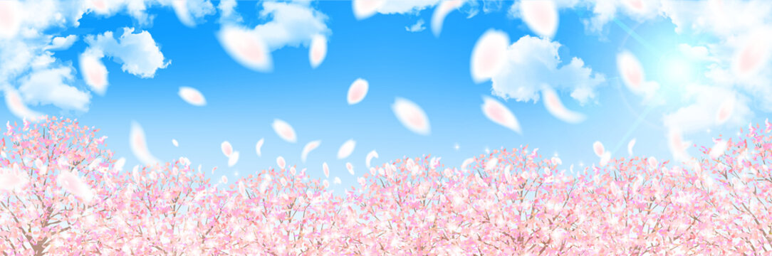 
    桜　春　花　背景 