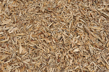 mulch background