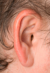 Fototapeta premium woman's ear