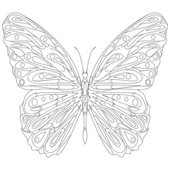 Hand drawn butterfly zentangle style