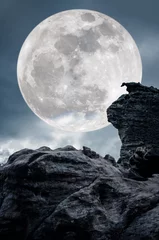  Super moon or big moon. Sky background with large full moon behind boulder. © kdshutterman