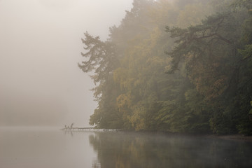 misty autumn morning on the lake © Mike Mareen