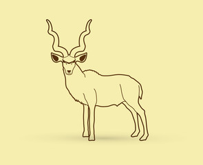 Kudu standing designed using outline graphic vector.