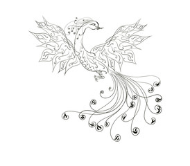 coloring, Beautiful  Sunbird, phoenix, with a magnificent tail, spread wings, painted graceful lines with swirls	