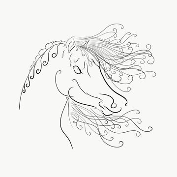 coloring,The horse's head with a fluffy mane painted graceful lines with swirls
