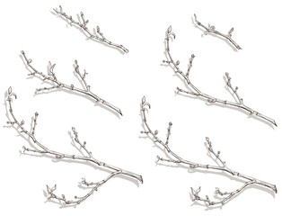 tree branches with buds and leaves