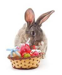Easter basket and bunny.
