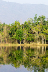 Landscape on the river with forest in thailand.
