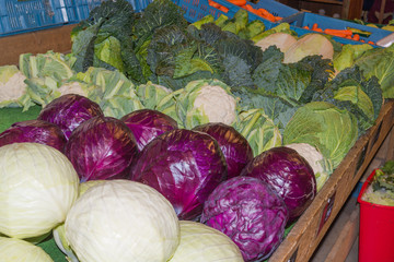 Rotkohl, Grünkohl und Blumenkohl