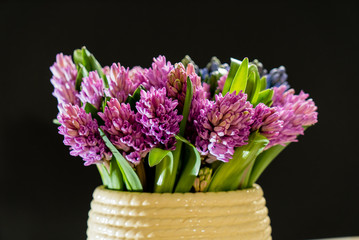 nice spring flowers