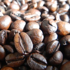 detail of a texture of brown coffee beans