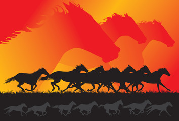 Fototapeta premium Running Horses