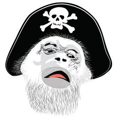 Monkey head in a pirate hat with a skull and crossbones -vector