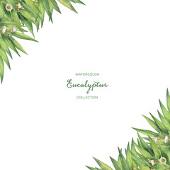Watercolor green floral card with eucalyptus leaves and branches isolated on white background.