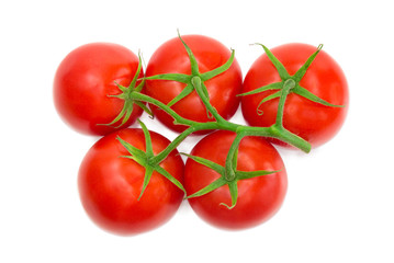 Branch of the ripe red tomatoes closeup