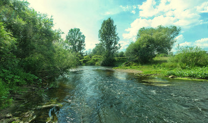 Fast shallow river flowing along the bushy shore