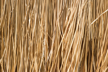 Close up yellow straw wall texture background