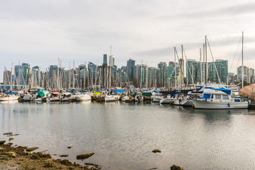 Vancouver marina and waterfront with many boats