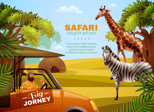 Safari Colored Poster