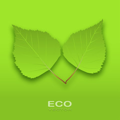 Eco Leaves Tree on a green background. Vector illustration.
