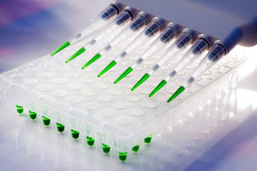 High throuput DNA analysis tools