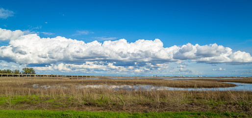 Yolo bypass wildlife area marshland pano