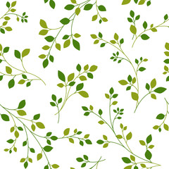 Fototapeta premium 植物のパターン