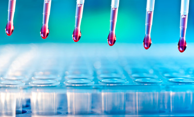 Sample loading with multichannel pipette