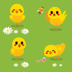 Cute little chick on spring grass with bee and worm on Easter holiday celebration