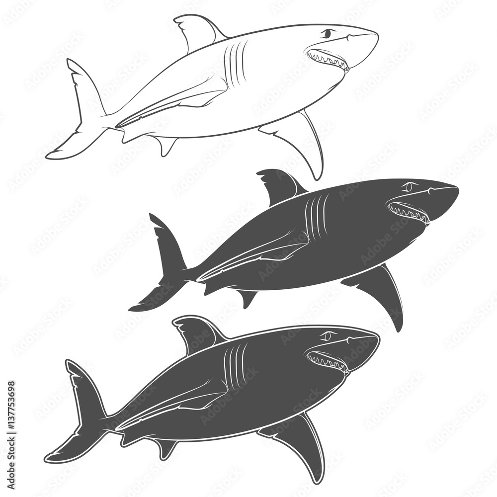 Aufkleber set of vector illustrations with a great white shark. isolated objects on a white background.