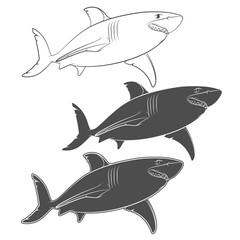 Set of vector illustrations with a great white shark. Isolated objects on a white background.