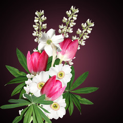 Beautiful floral background with narcissus, tulips and lupine  