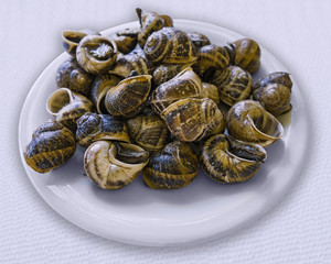 Dish of cooked snails
