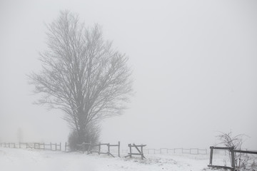 old fence on foggy winter day . winter countryside landscape
