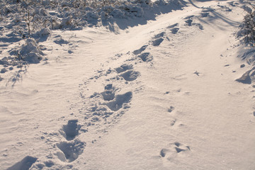 human footprints in the snow on a Sunny day
