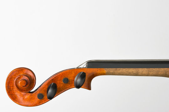 Violin neck shot closeup