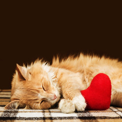 Red fluffy cat asleep hugging soft plush heart toy with copy space