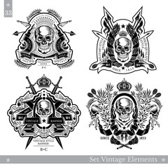 Skull front view with vintage elements and weapon. Set of vintage banners on white