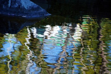 背景素材/池の映り込み