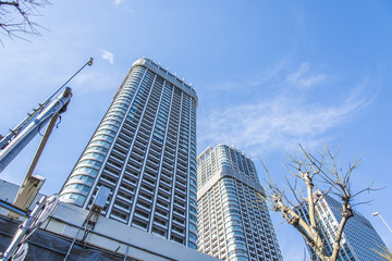 Obraz premium 東京の高層ビル