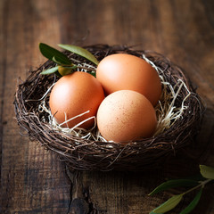 Easter concept - three eggs in a nest with olive branch against dark rustic wooden background