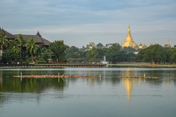 Shwedagon pagoda from kandawgyi lake, Yangon, Myanmar